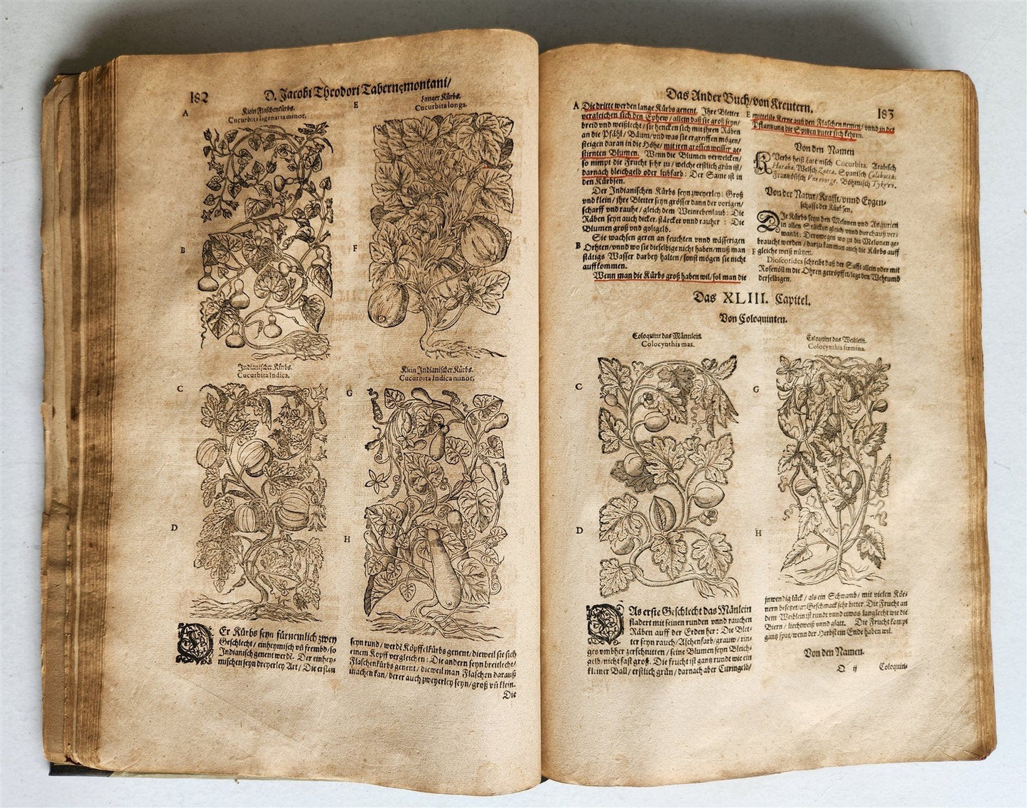 1588 HERBAL BOOK in GERMAN antique ILLUSTRATED Tabernaemontanus