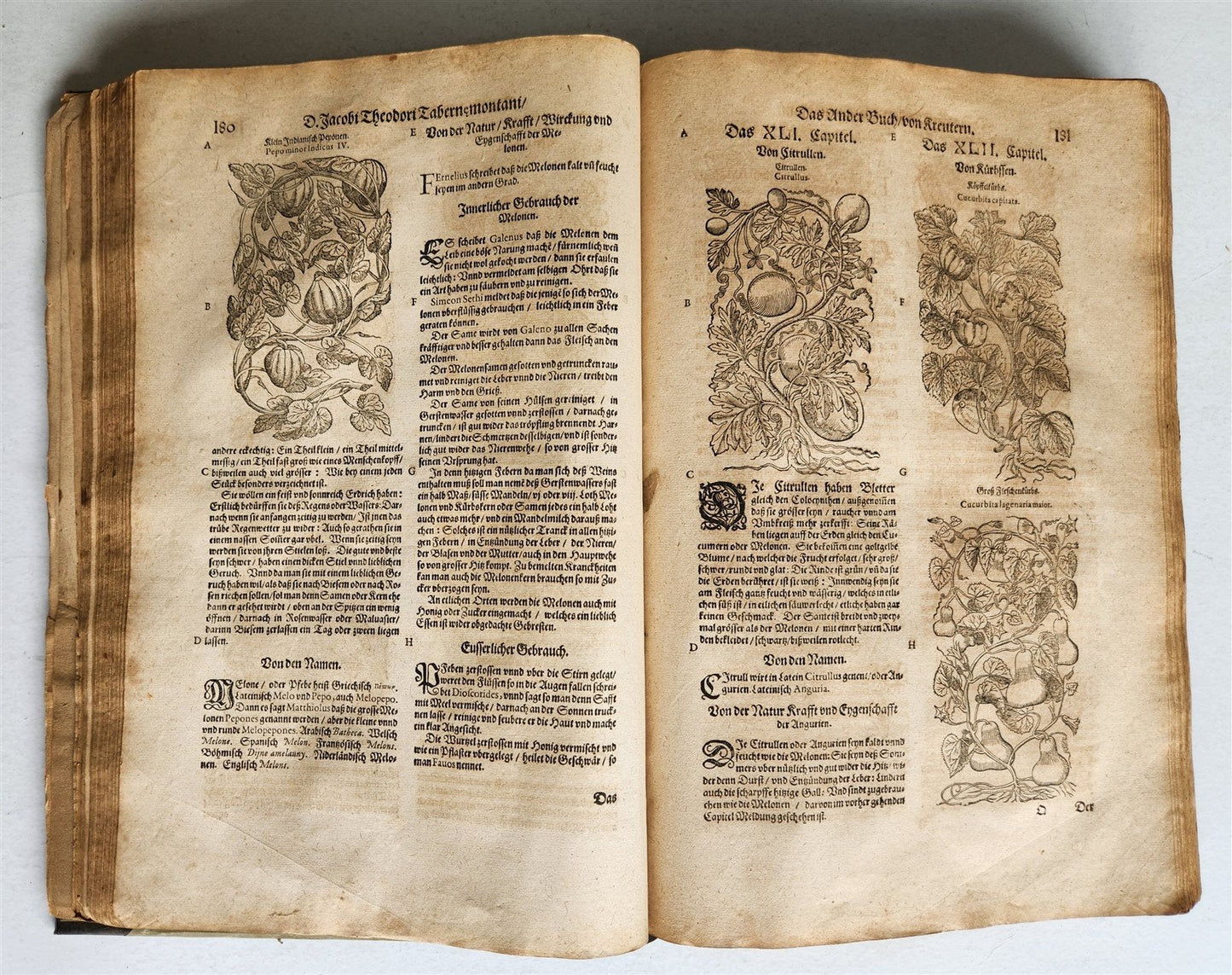 1588 HERBAL BOOK in GERMAN antique ILLUSTRATED Tabernaemontanus