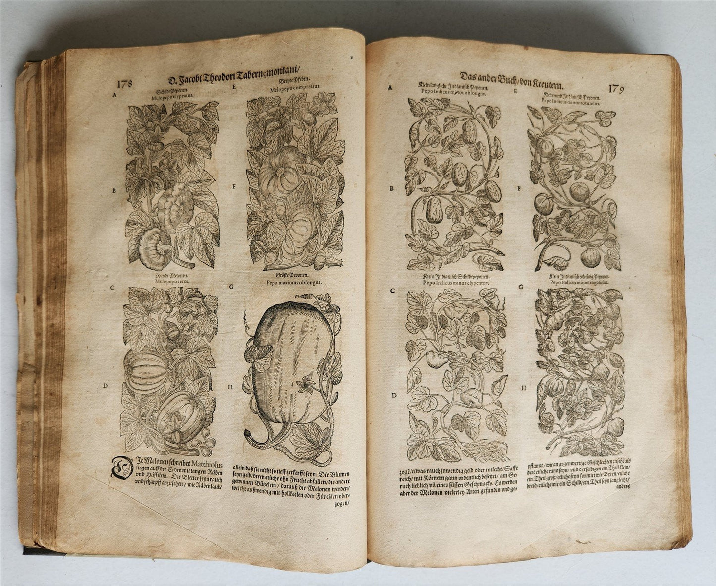 1588 HERBAL BOOK in GERMAN antique ILLUSTRATED Tabernaemontanus