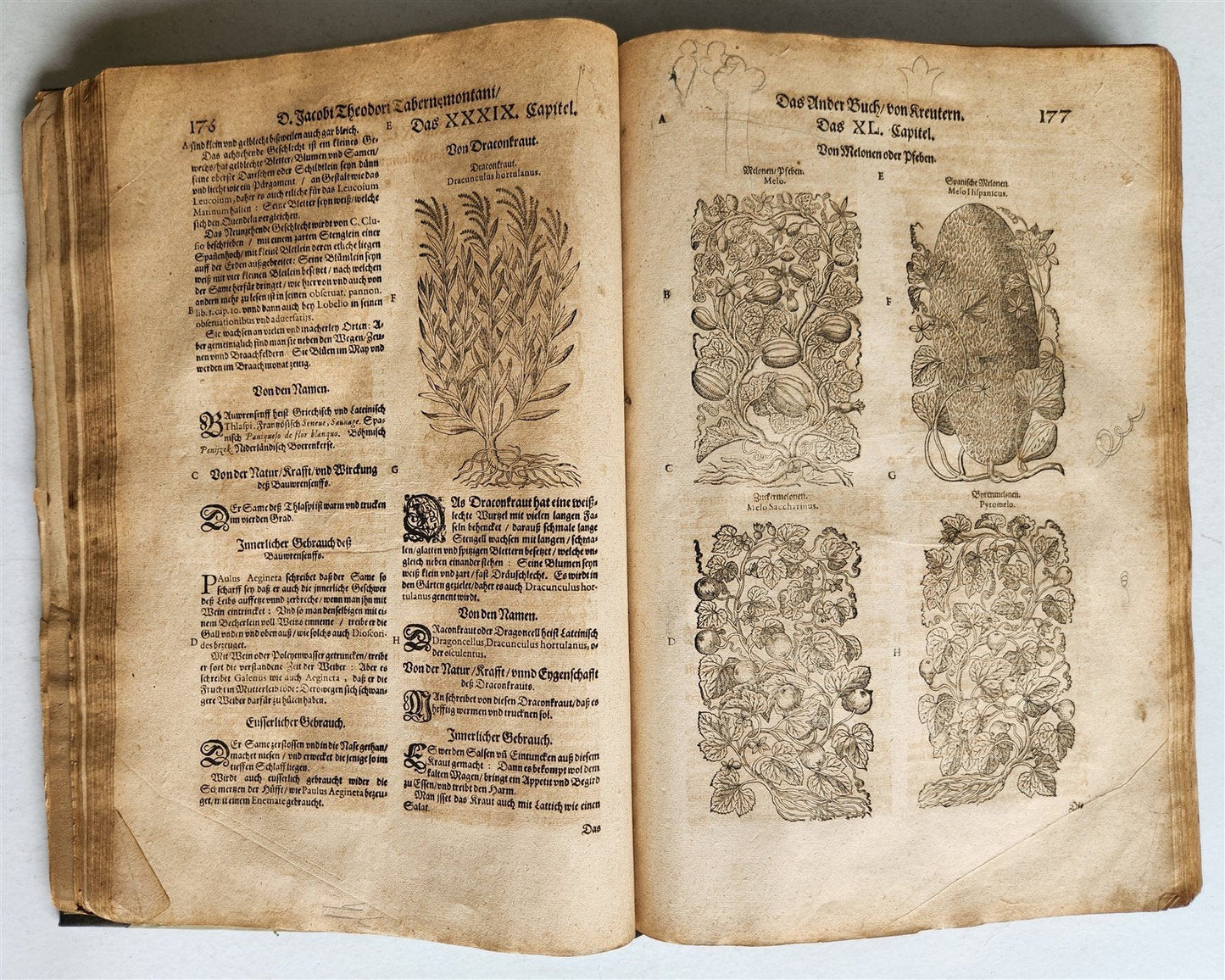 1588 HERBAL BOOK in GERMAN antique ILLUSTRATED Tabernaemontanus