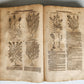 1588 HERBAL BOOK in GERMAN antique ILLUSTRATED Tabernaemontanus