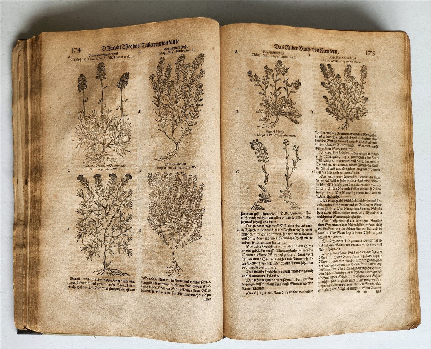 1588 HERBAL BOOK in GERMAN antique ILLUSTRATED Tabernaemontanus