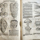 1588 HERBAL BOOK in GERMAN antique ILLUSTRATED Tabernaemontanus
