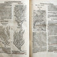 1588 HERBAL BOOK in GERMAN antique ILLUSTRATED Tabernaemontanus