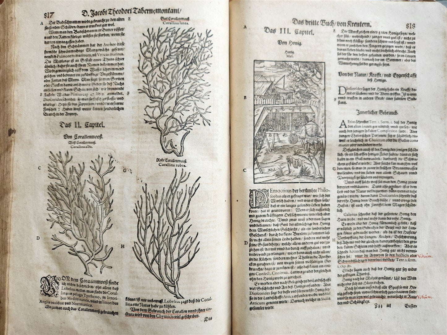 1588 HERBAL BOOK in GERMAN antique ILLUSTRATED Tabernaemontanus
