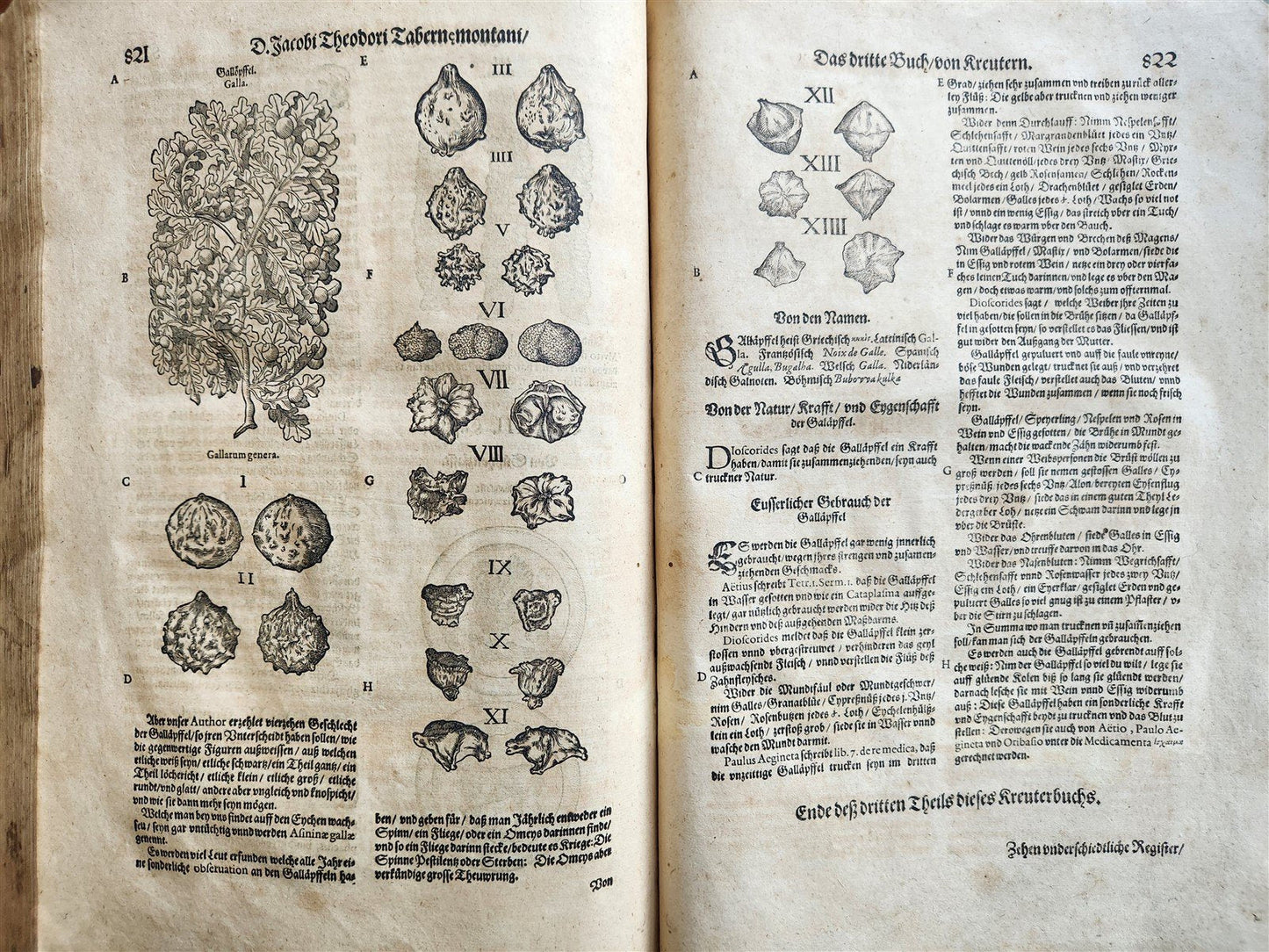 1588 HERBAL BOOK in GERMAN antique ILLUSTRATED Tabernaemontanus