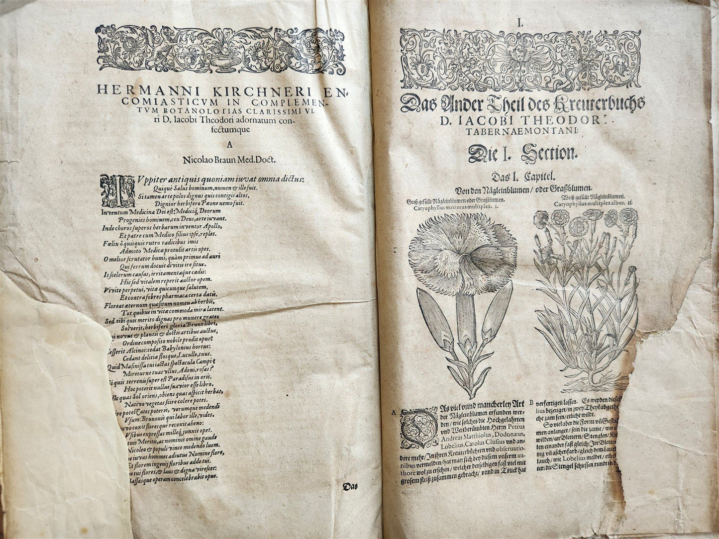 1588 HERBAL BOOK in GERMAN antique ILLUSTRATED Tabernaemontanus