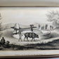 1858 EXPEDITION to CHINA JAPAN & OKHOTSK Ringgold & Rodgers antique ILLUSTRATED