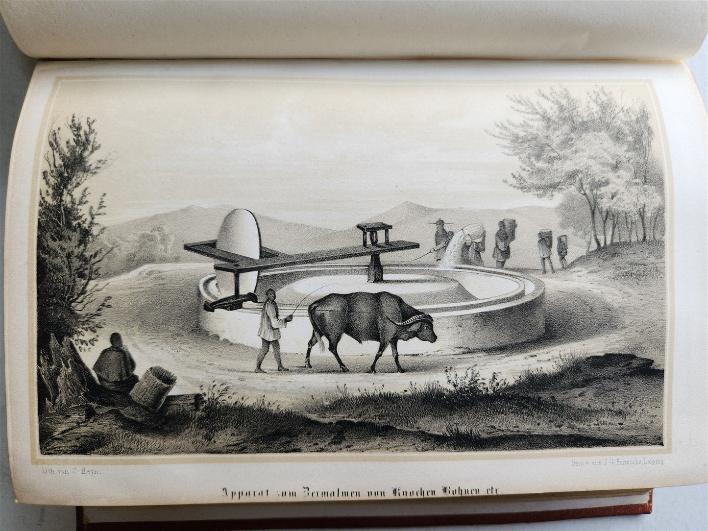 1858 EXPEDITION to CHINA JAPAN & OKHOTSK Ringgold & Rodgers antique ILLUSTRATED