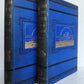 1876 NEW LANDS WITHIN ARCTIC CIRCLE 2 VOLS antique ILLUSTRATED Ship Tegetthoff