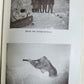 1910 DISCOVERY of NORTH POLE by ROBERT PEARY in GERMAN antique ILLUSTRATED