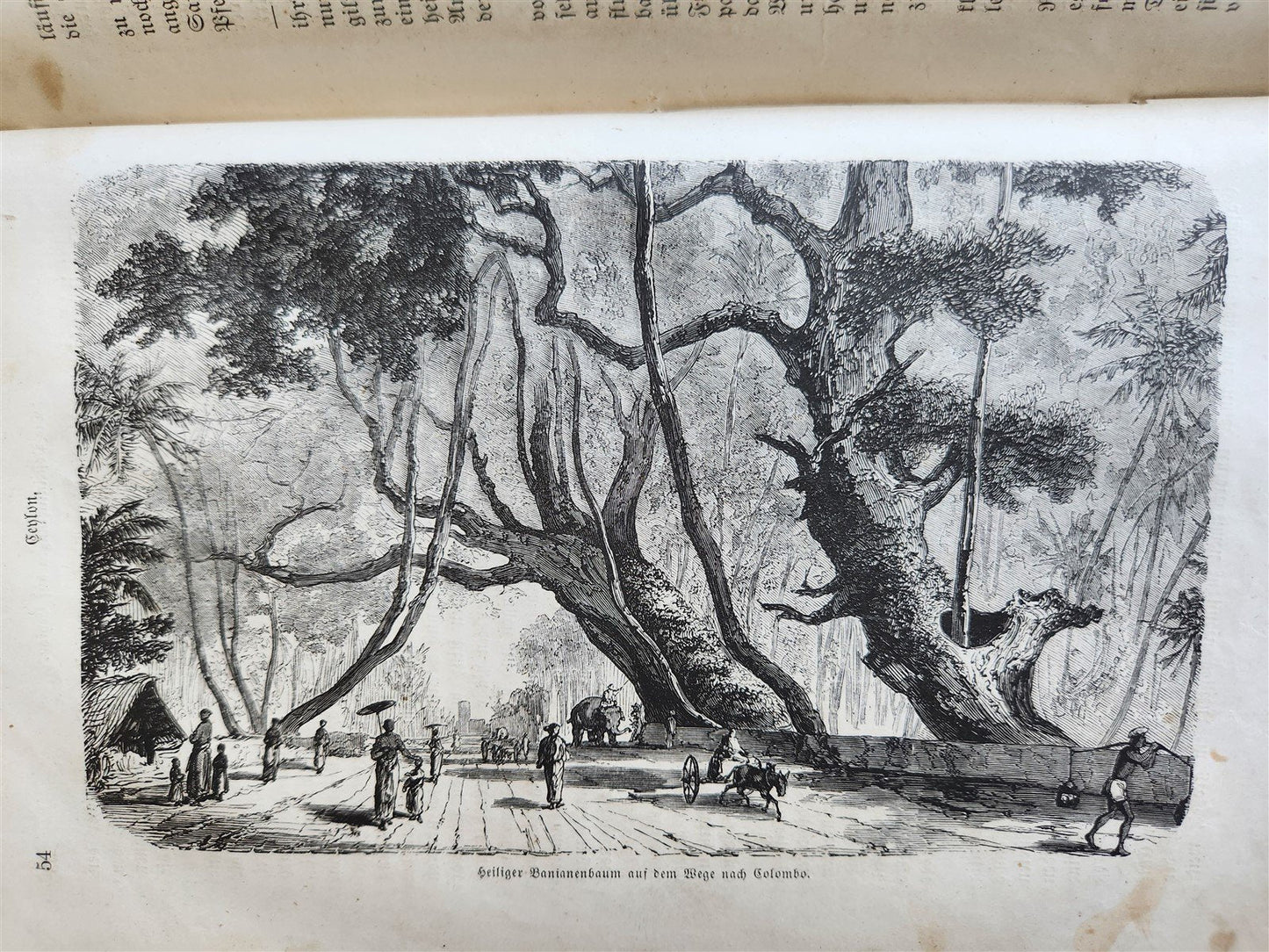 1870s PRUSSIAN EXPEDITION to EAST ASIA JAPAN CHINA SIAM antique ILLUSTRATED