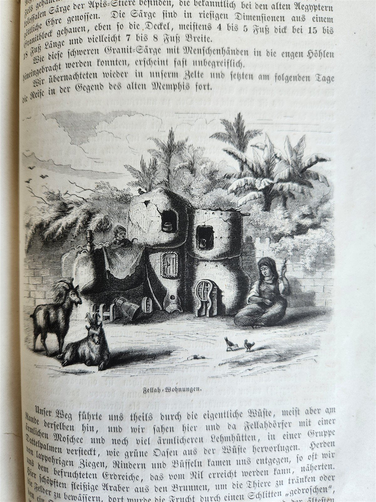 1870s PRUSSIAN EXPEDITION to EAST ASIA JAPAN CHINA SIAM antique ILLUSTRATED