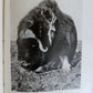 1907 NEAREST TO THE NORTH POLE by ROBERT PEARY in GERMAN antique ILLUSTRATED