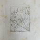 1831 DANCE of DEATH POEM 48 ETCHINGS by HOLBEIN antique Der Todtentanz Bechstein