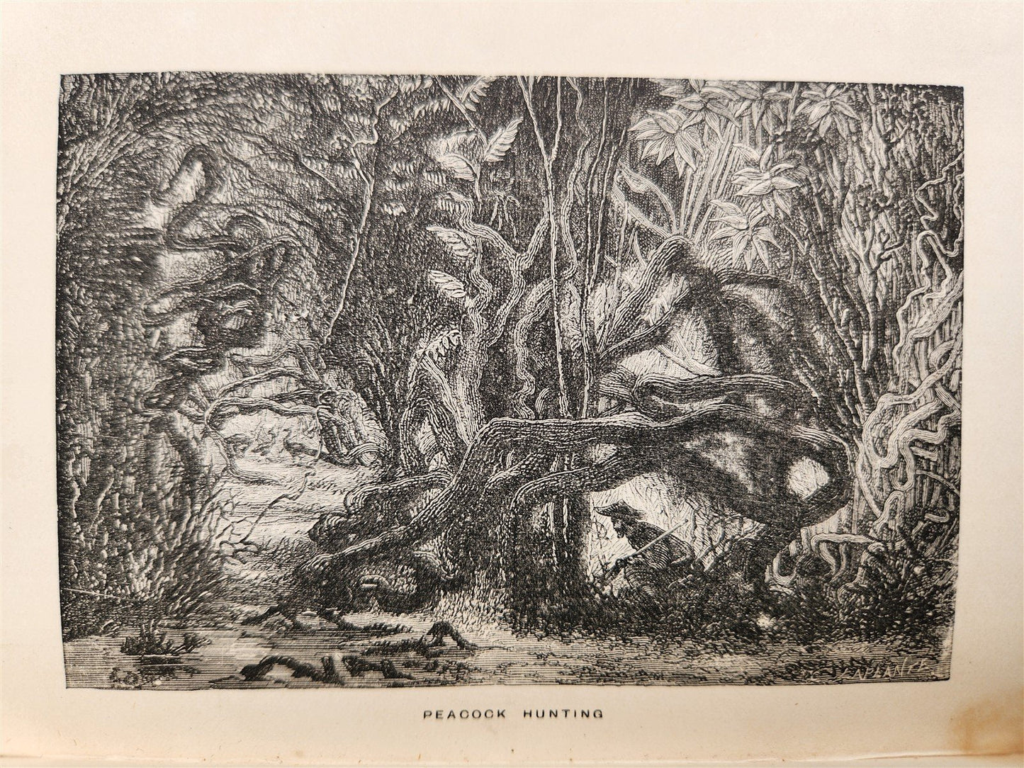 1884 THE FRENCH in INDO CHINA antique ILLUSTRATED