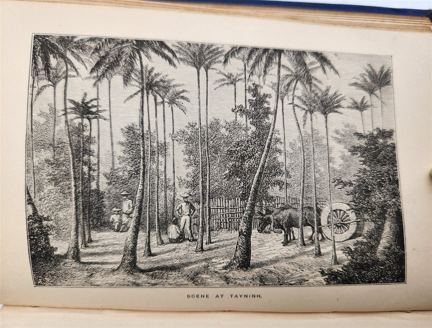 1884 THE FRENCH in INDO CHINA antique ILLUSTRATED