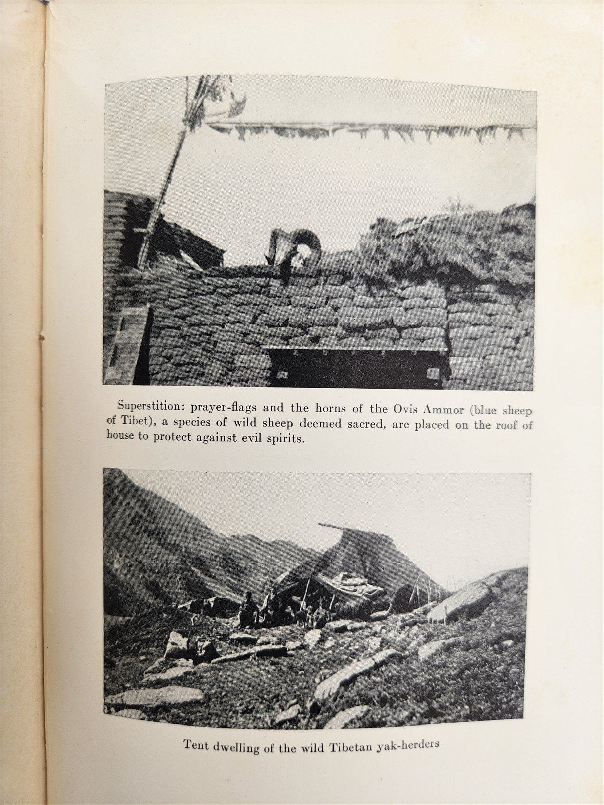 1924 TO LHASA in DISGUISE by W. McGovern ILLUSTRATED antique TIBET HIMALAYAS
