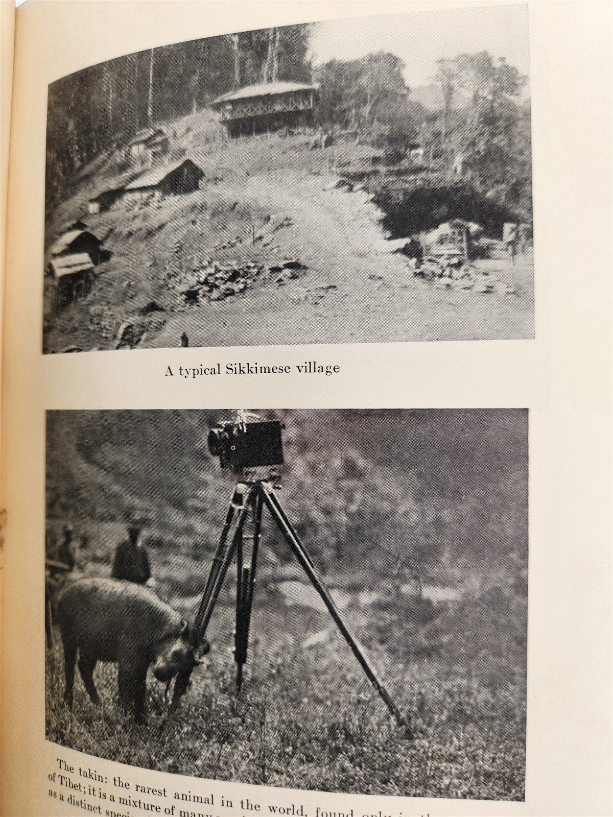 1924 TO LHASA in DISGUISE by W. McGovern ILLUSTRATED antique TIBET HIMALAYAS