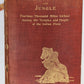 1904 Through Town & Jungle 14,000 Miles A-Wheel ... INDIA ILLUSTRATED antique