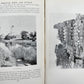 1904 Through Town & Jungle 14,000 Miles A-Wheel ... INDIA ILLUSTRATED antique