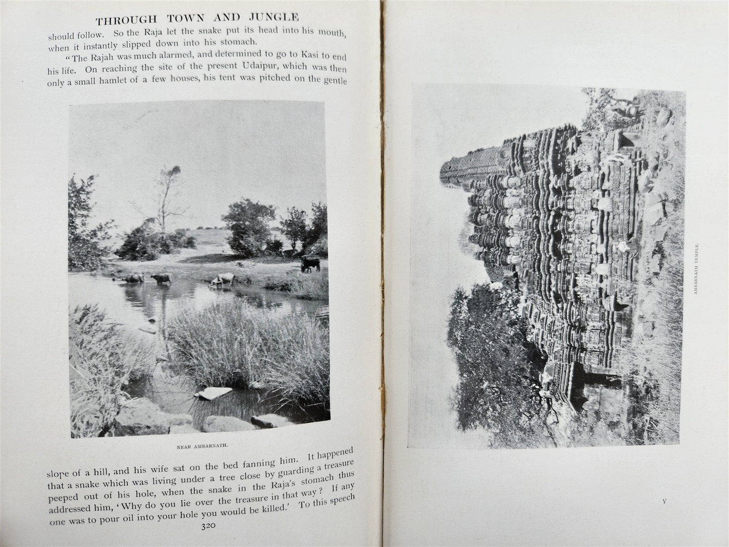 1904 Through Town & Jungle 14,000 Miles A-Wheel ... INDIA ILLUSTRATED antique