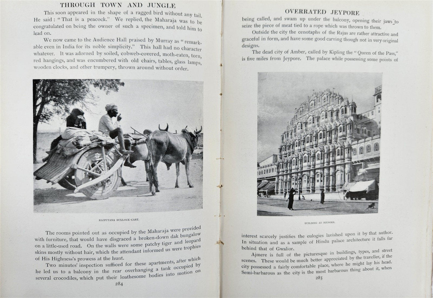 1904 Through Town & Jungle 14,000 Miles A-Wheel ... INDIA ILLUSTRATED antique