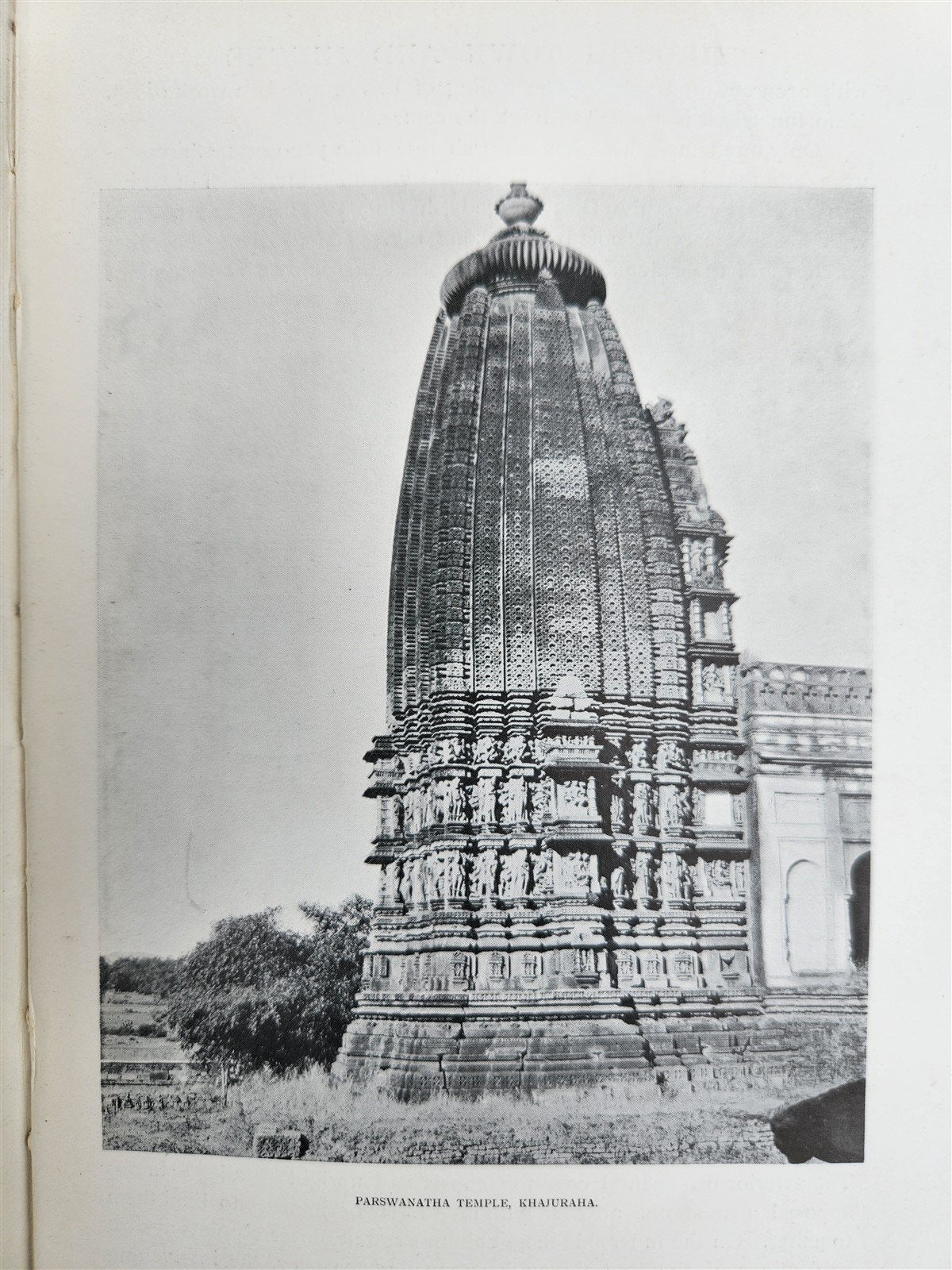 1904 Through Town & Jungle 14,000 Miles A-Wheel ... INDIA ILLUSTRATED antique