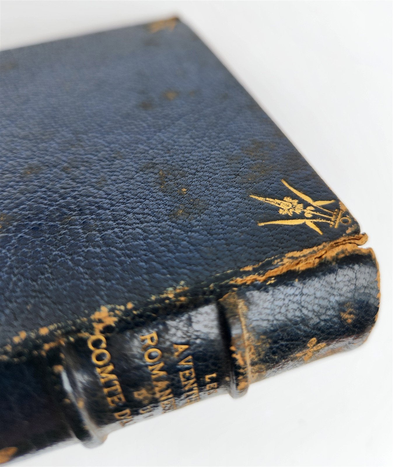 1883 ROMANTIC ADVENTURES of COUNT D'ARTOIS antique ILLUSTRATED fine binding