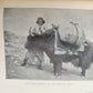 1900 IN ICE WORLD of HIMALAYA antique ILLUSTRATED Ladakh Nubra Sura Baltidstan