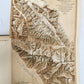 1900 IN ICE WORLD of HIMALAYA antique ILLUSTRATED Ladakh Nubra Sura Baltidstan