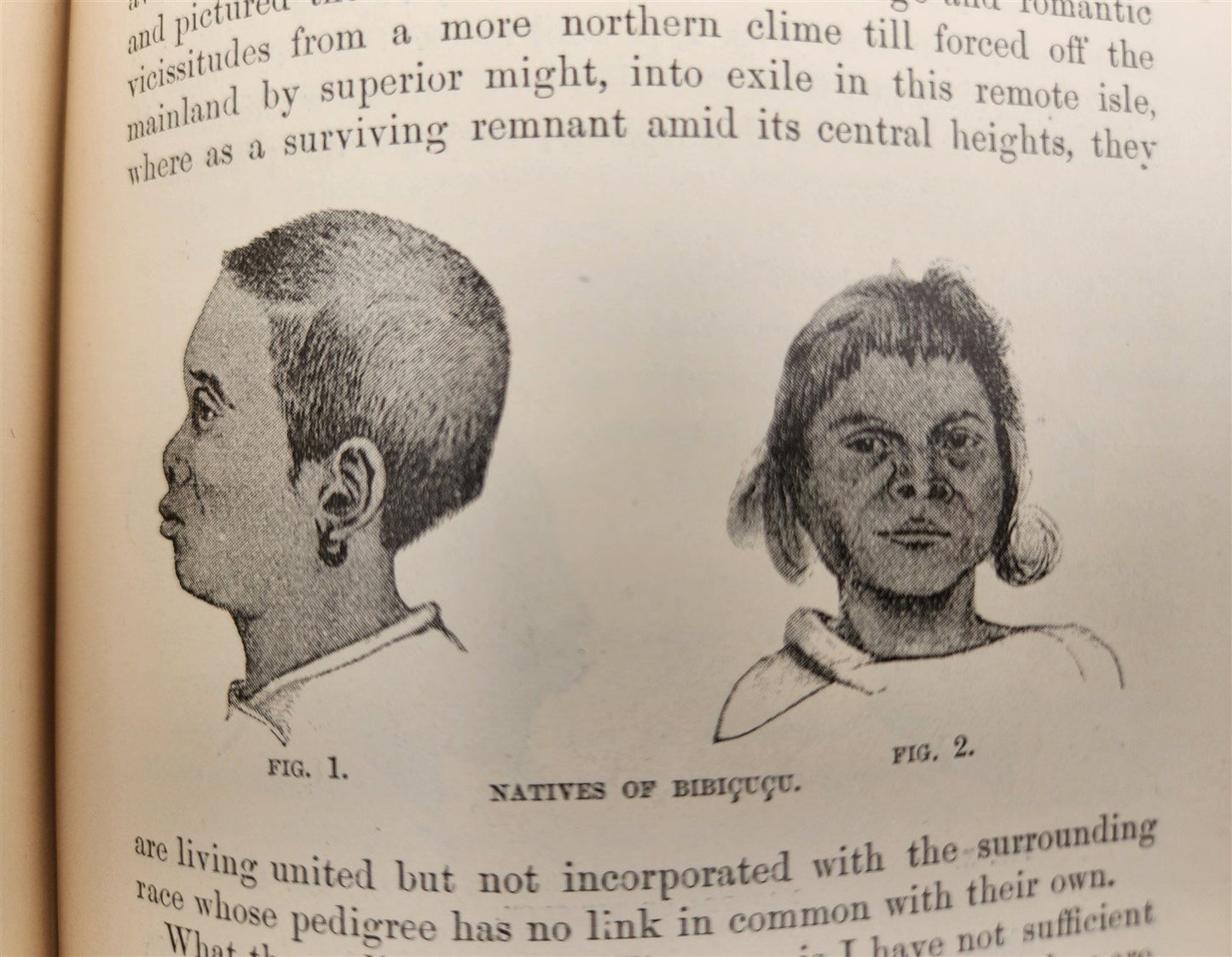 1885 Naturalist's Wanderings in the Eastern Archipelago antique Java Sumatra
