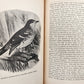 1885 Naturalist's Wanderings in the Eastern Archipelago antique Java Sumatra