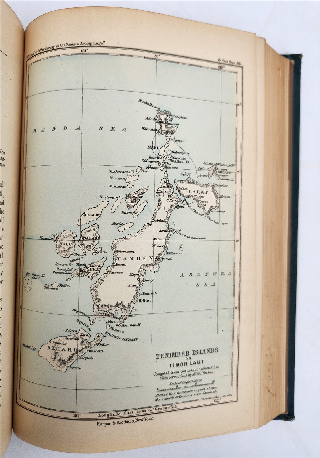 1885 Naturalist's Wanderings in the Eastern Archipelago antique Java Sumatra