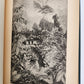 1885 Naturalist's Wanderings in the Eastern Archipelago antique Java Sumatra
