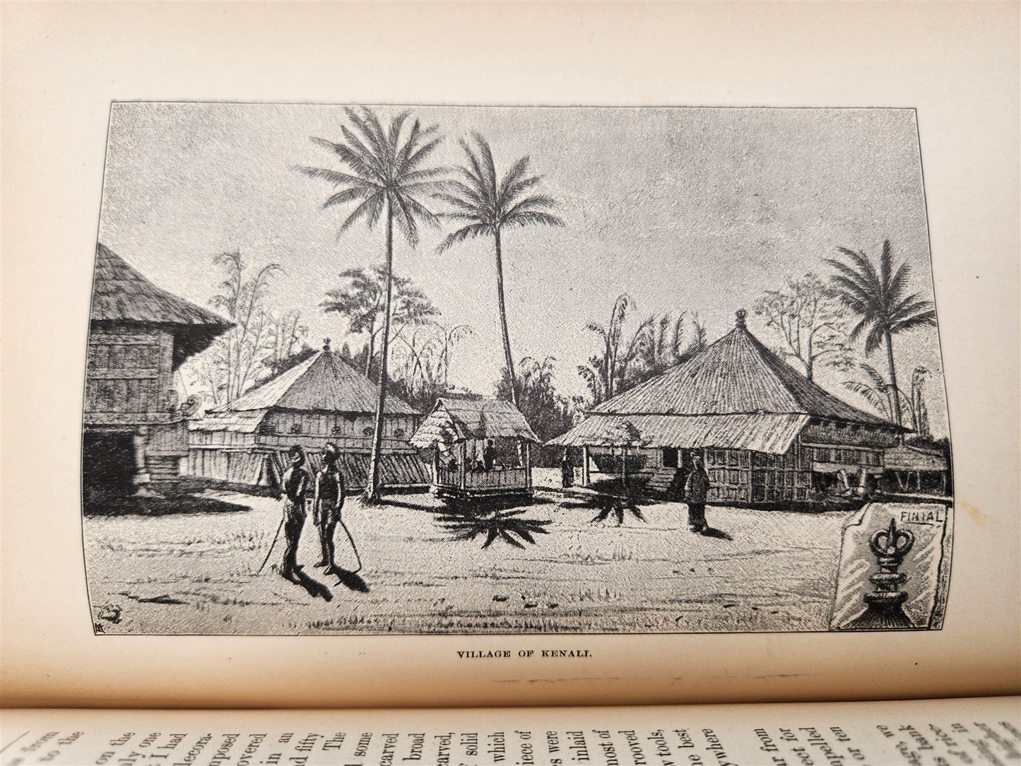 1885 Naturalist's Wanderings in the Eastern Archipelago antique Java Sumatra