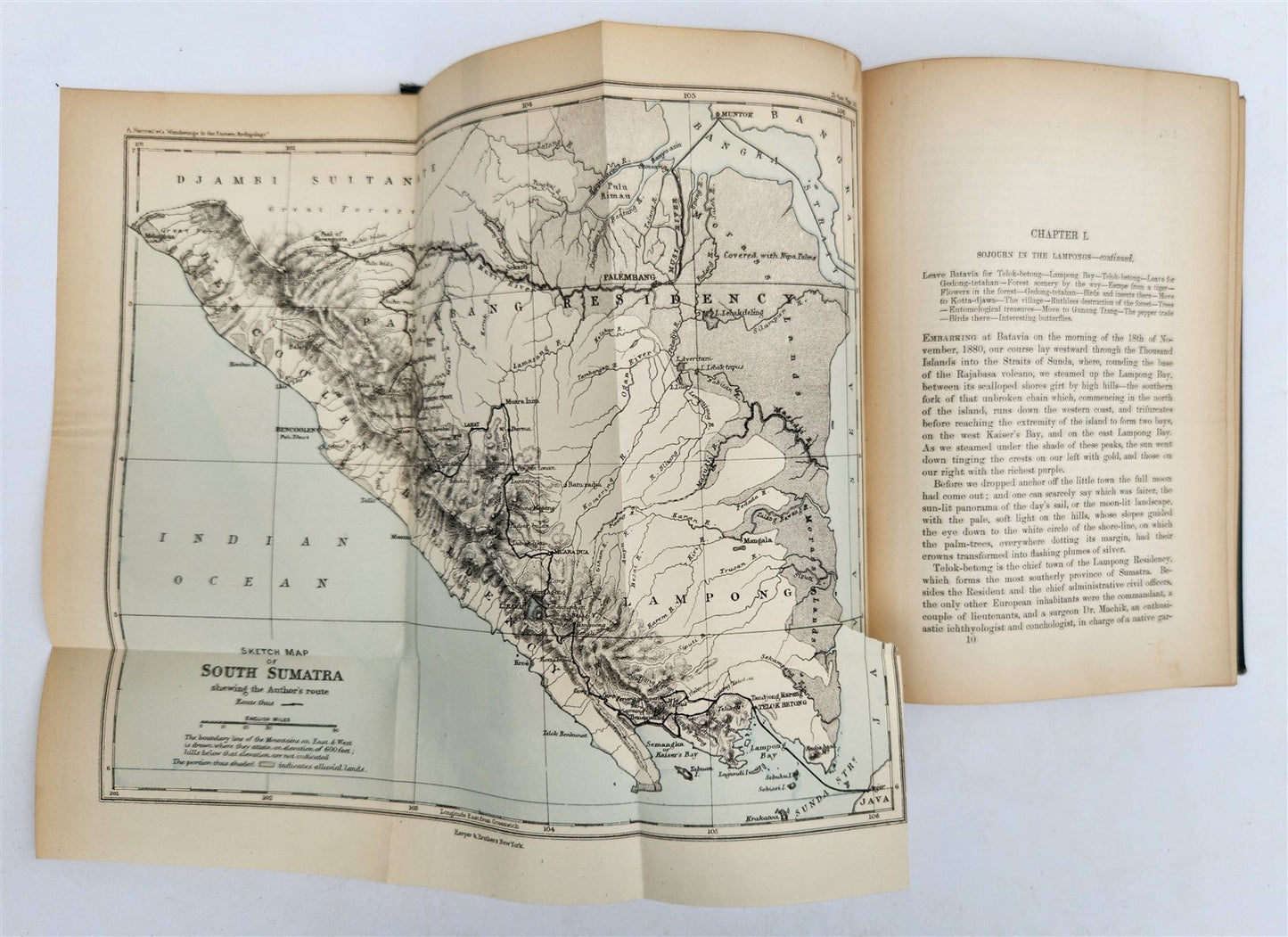 1885 Naturalist's Wanderings in the Eastern Archipelago antique Java Sumatra