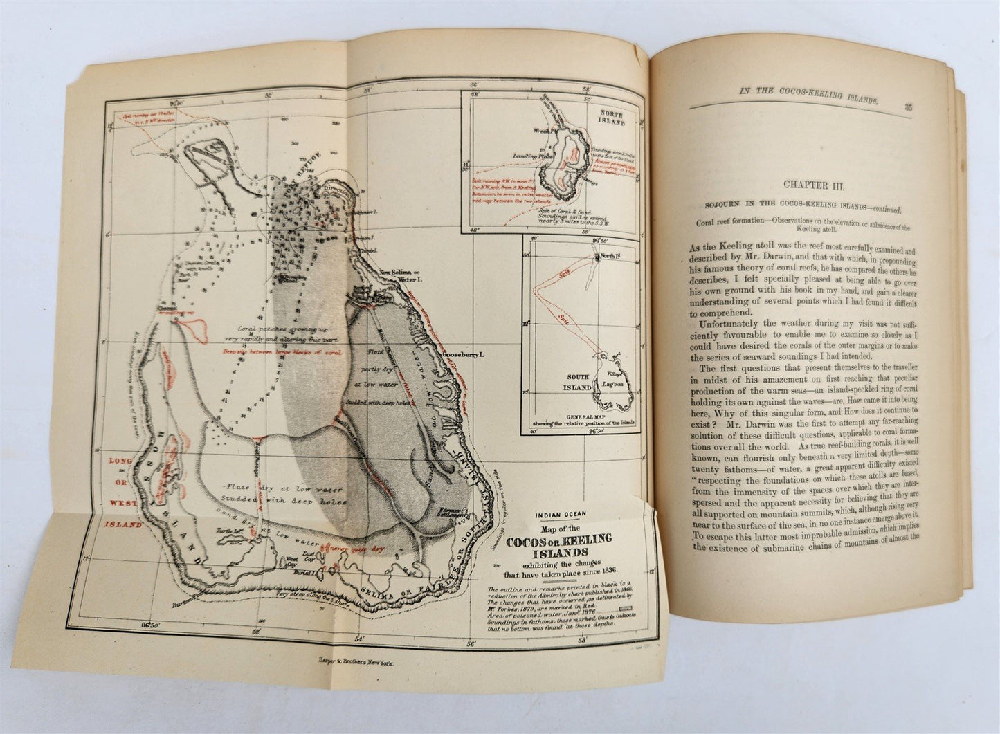 1885 Naturalist's Wanderings in the Eastern Archipelago antique Java Sumatra