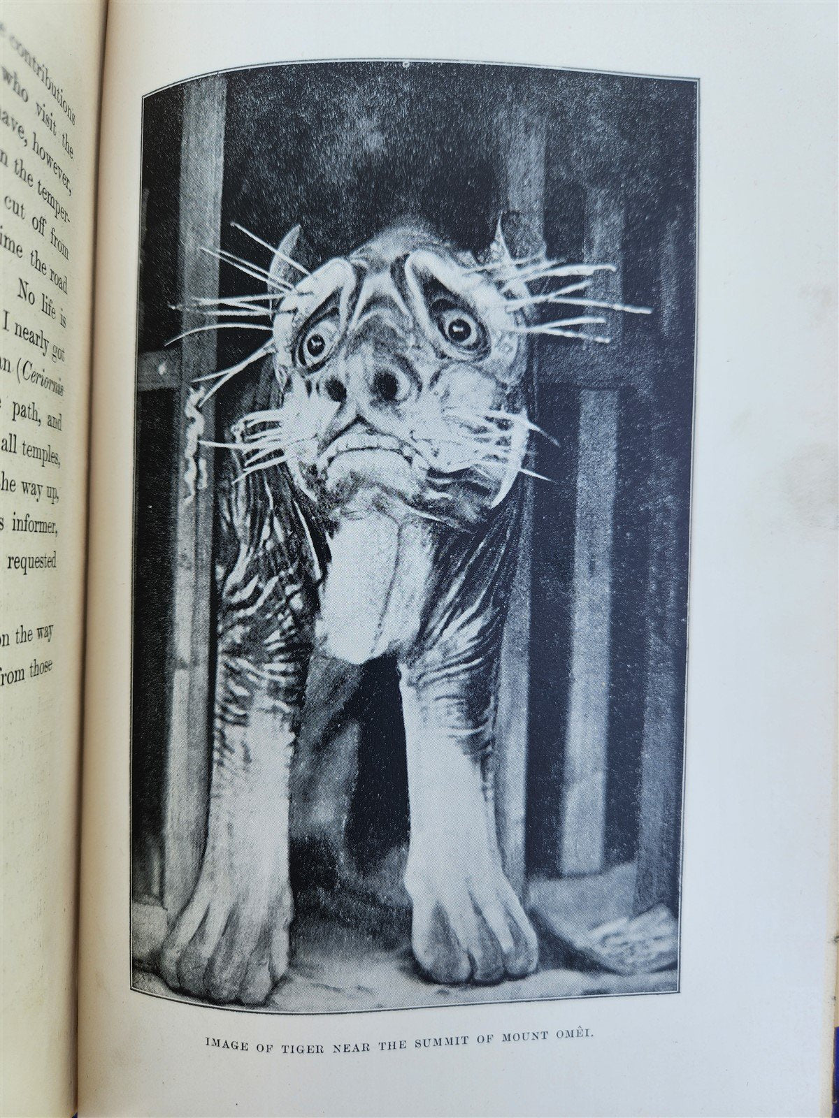 1892 SNOWS of TIBET THROUGH CHINA by A.E. Pratt antique ILLUSTRATED w/ map