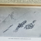 1910 TENT-LIFE in SIBERIA by GEORGE KENNAN antique ILLUSTRATED