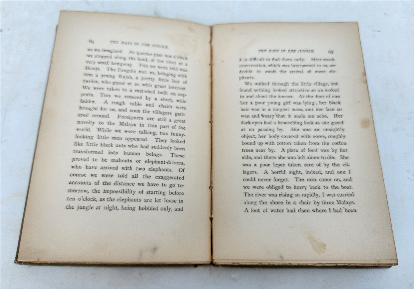 1885 Ten Days in the Jungle antique ILLUSTRATED