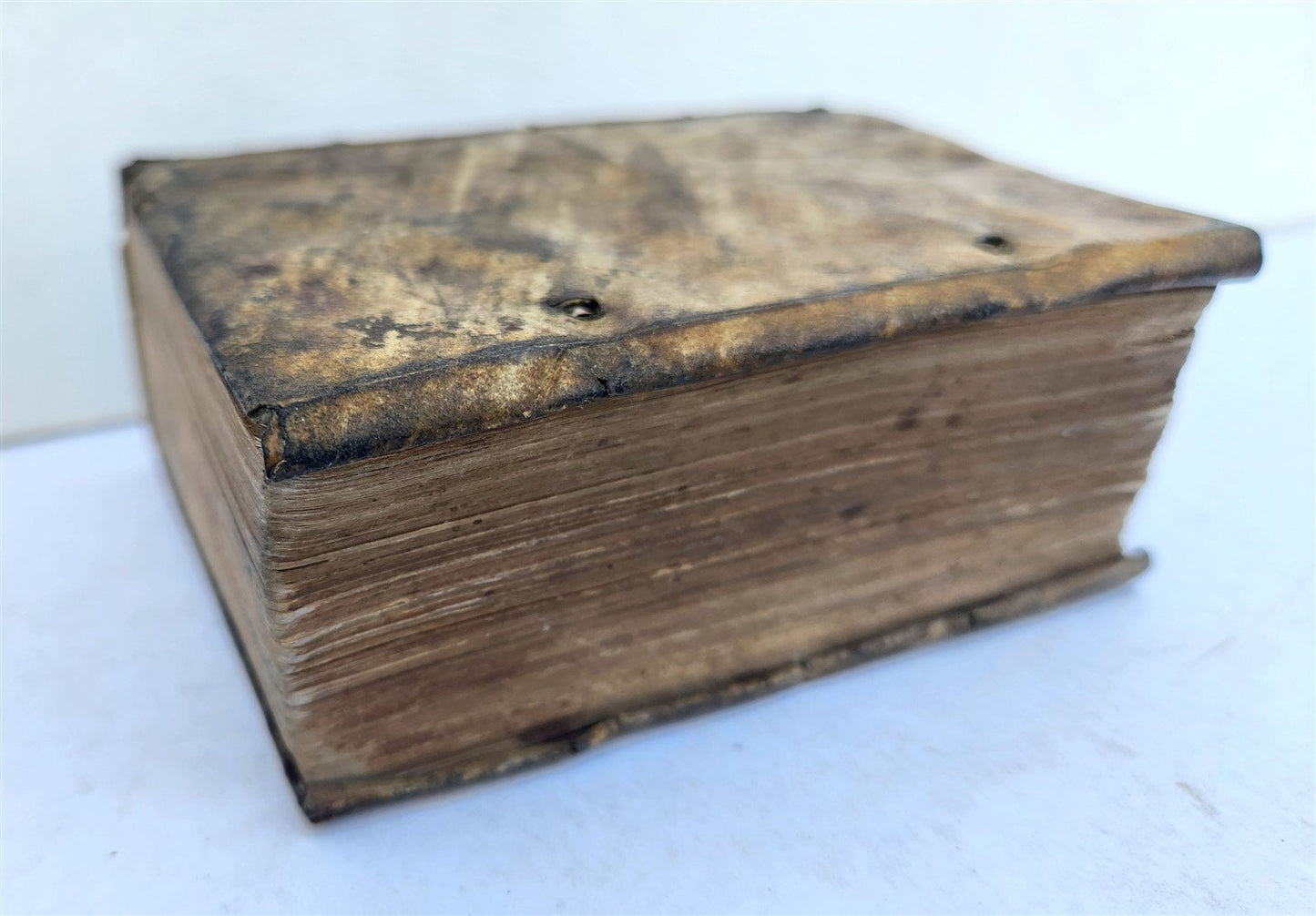 1548 BIBLE in LATIN NEW TESTAMENT antique RARE POCKET SIZE BIBLIA VELLUM BINDING