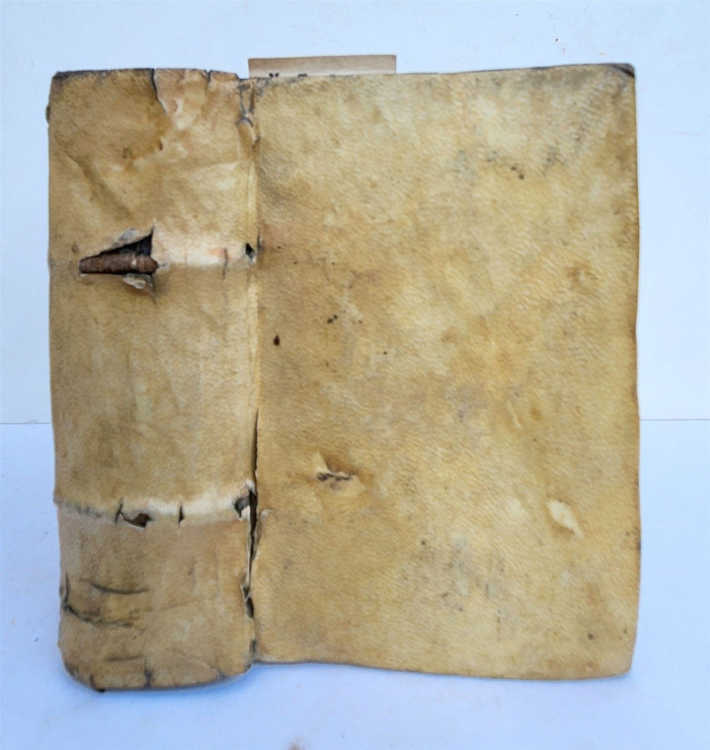 1543 BIBLE in LATIN NEW TESTAMENT antique RARE POCKET SIZE BIBLIA VELLUM BINDING