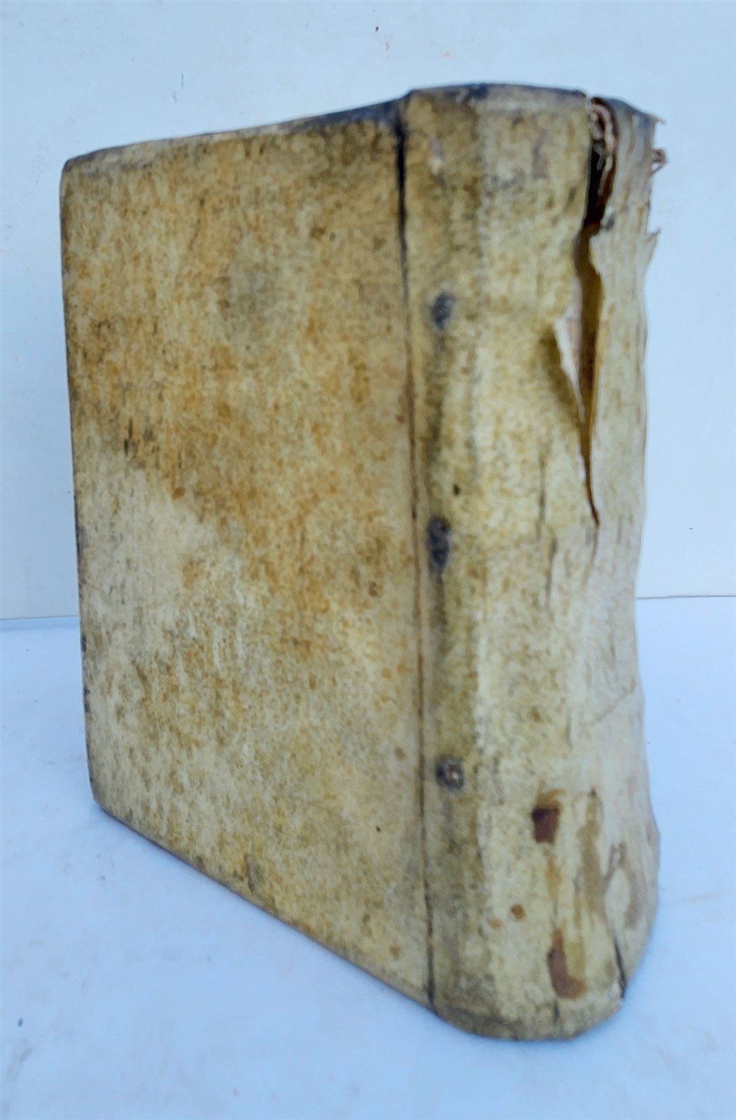 1551 BIBLE in LATIN ILLUSTRATED w/ 108 WOODCUTS antique RARE pocket size VELLUM