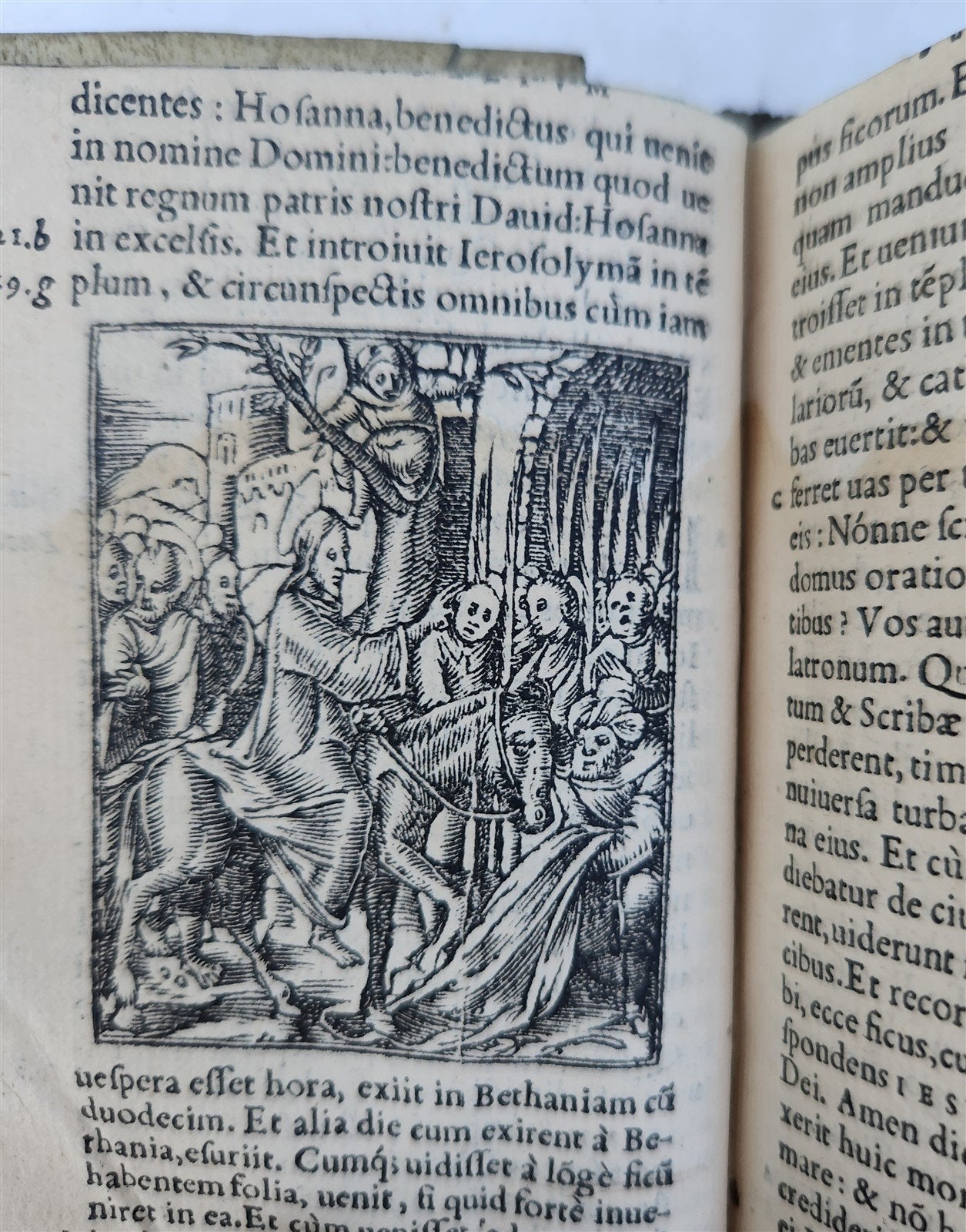 1551 BIBLE in LATIN ILLUSTRATED w/ 108 WOODCUTS antique RARE pocket size VELLUM
