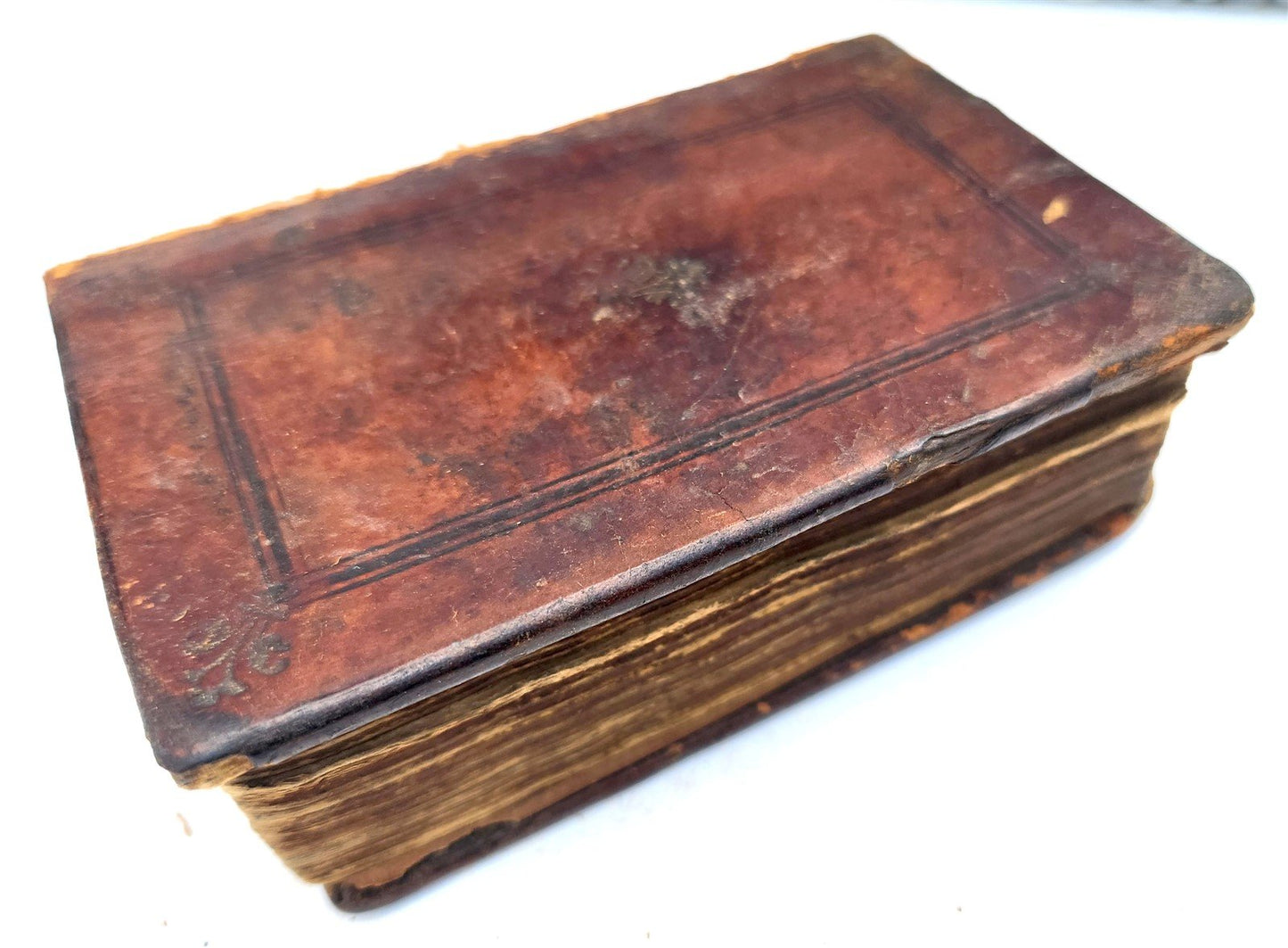 1548 BIBLE in LATIN FULLY ILLUSTRATED antique RARE pocket size NEW TESTAMENT