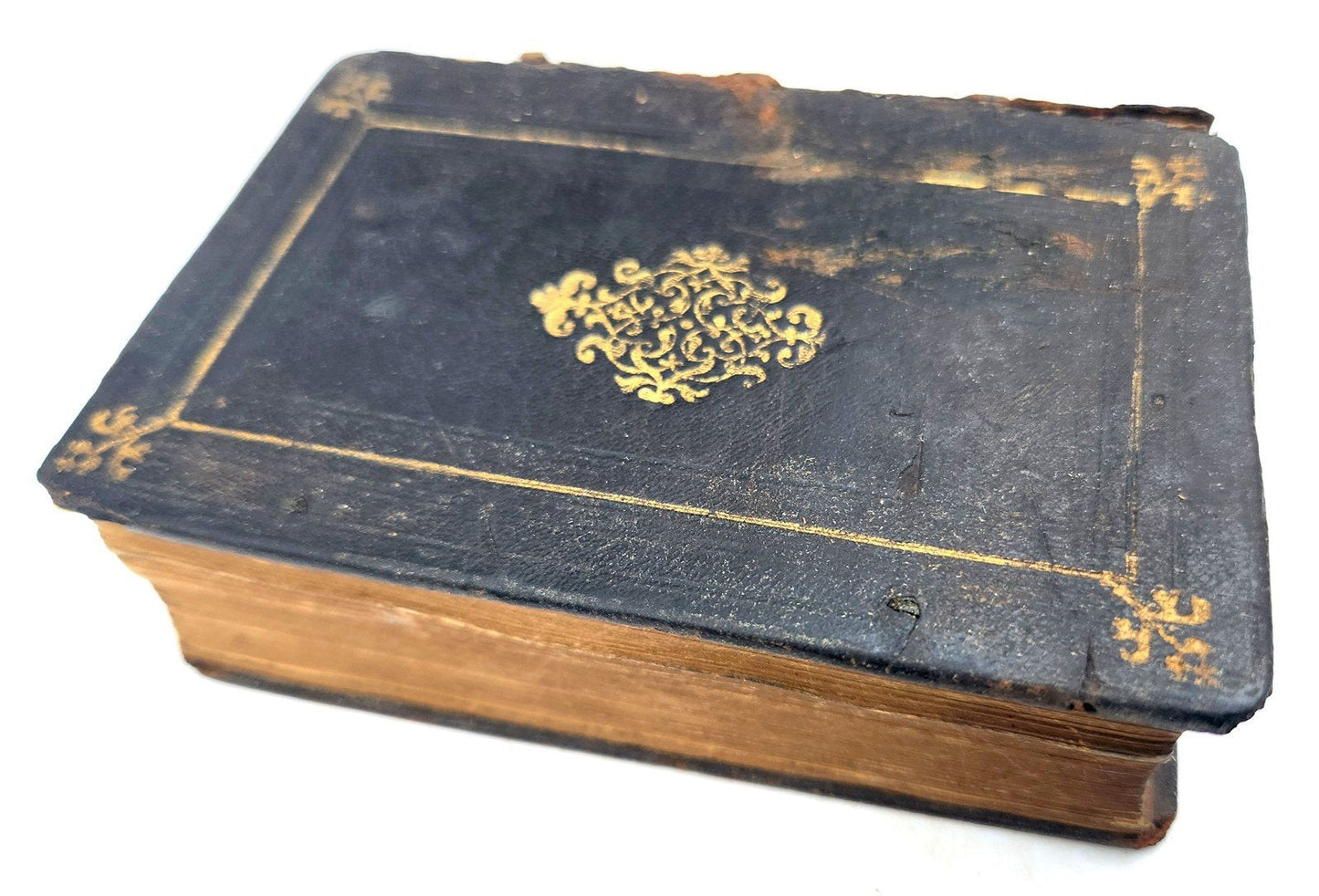 1546 BIBLE in LATIN antique RARE pocket size SANCTUM IESU CHRISTI EVANGELIUM