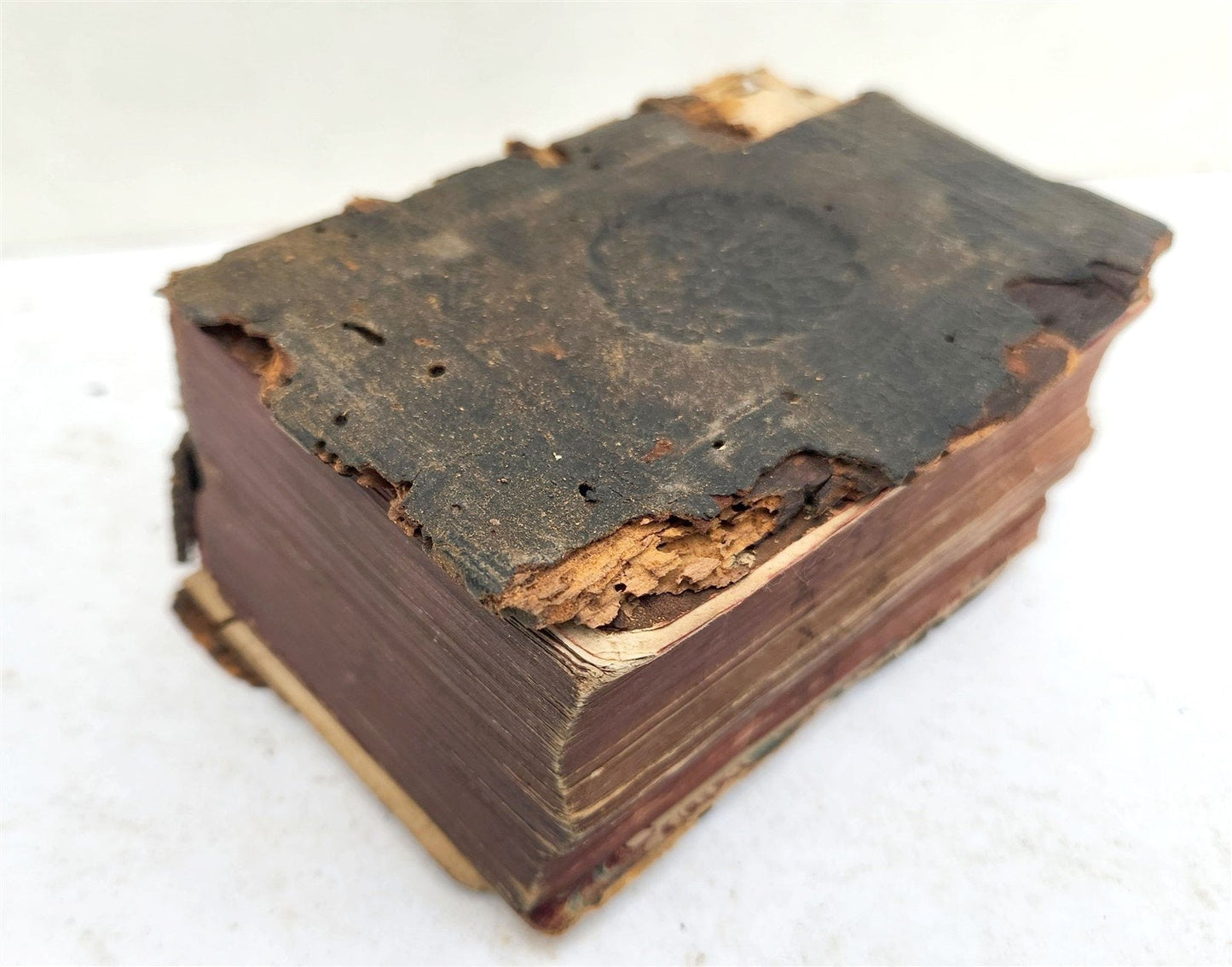 1565 BIBLE in FRENCH antique RARE pocket size SANCTUM IESU CHRISTI EVANGELIUM