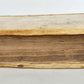 1621 ILLUSTRATED Homiliarum in Evangelia antique VELLUM BINDING