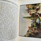 1915 HISTORY of ZURICH ILLUSTRATED LTD EDITION SIGNED BINDING antique 2 VOLUMES